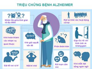 trieu chung benh alzheimer nhu the nao Tất cả những điều cần biết về bệnh Alzheimer